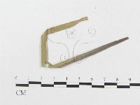 登錄號:F0019375藏品圖，第4張