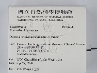 登錄號:F0019376藏品圖，第2張