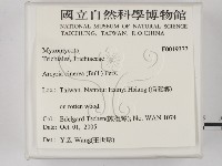 登錄號:F0019377藏品圖，第2張