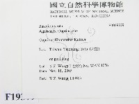 登錄號:F0019379藏品圖，第2張