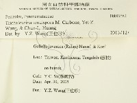 登錄號:F0019382藏品圖，第2張