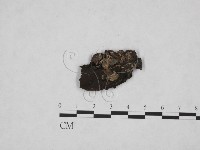 登錄號:F0019382藏品圖，第3張