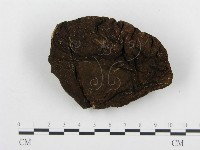 頭狀禿馬勃藏品圖，第3張