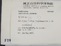 登錄號:F0019385藏品圖，第2張