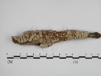 登錄號:F0019385藏品圖，第1張