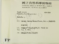 登錄號:F0019386藏品圖，第2張