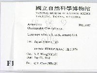 登錄號:F0019387藏品圖，第2張