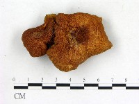登錄號:F0019388藏品圖，第3張
