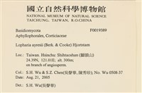 登錄號:F0019389藏品圖，第2張