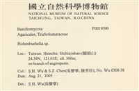 登錄號:F0019390藏品圖，第2張