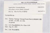 登錄號:F0019393藏品圖，第2張