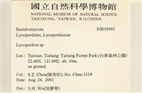 登錄號:F0019393藏品圖，第2張