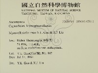 登錄號:F0019394藏品圖，第2張
