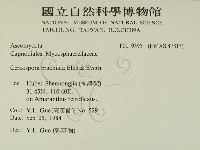 登錄號:F0019395藏品圖，第2張