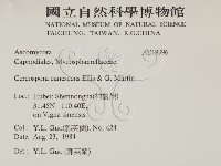 登錄號:F0019396藏品圖，第2張