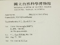 登錄號:F0019397藏品圖，第2張