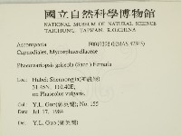 登錄號:F0019398藏品圖，第2張