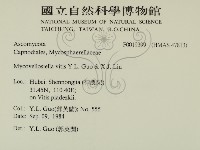登錄號:F0019399藏品圖，第2張