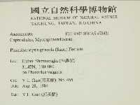 登錄號:F0019402藏品圖，第2張