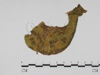 登錄號:F0019402藏品圖，第1張