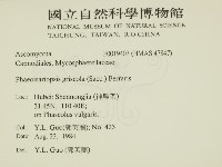 登錄號:F0019403藏品圖，第2張