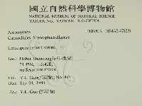 登錄號:F0019405藏品圖，第2張