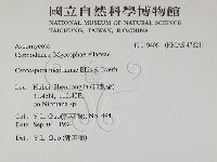 登錄號:F0019406藏品圖，第2張