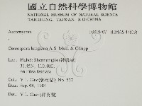 館號:F0019407藏品圖，第2張