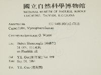 登錄號:F0019408藏品圖，第2張