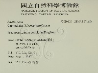 登錄號:F0019410藏品圖，第2張