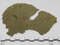 登錄號:F0019413藏品圖，第3張