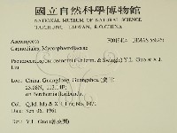 登錄號:F0019414藏品圖，第2張
