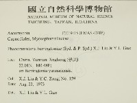 登錄號:F0019415藏品圖，第2張