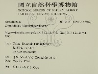登錄號:F0019416藏品圖，第2張