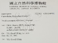 登錄號:F0019417藏品圖，第2張