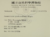 登錄號:F0019418藏品圖，第2張
