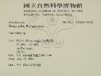 登錄號:F0019420藏品圖，第2張