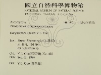 登錄號:F0019421藏品圖，第2張