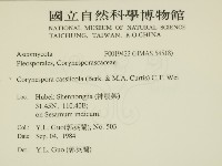 登錄號:F0019422藏品圖，第2張