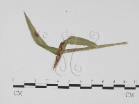 登錄號:F0019424藏品圖，第3張