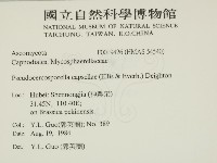 登錄號:F0019426藏品圖，第2張