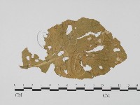 登錄號:F0019426藏品圖，第1張
