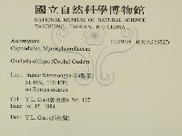 館號:F0019428藏品圖，第2張