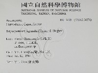 登錄號:F0019429藏品圖，第2張