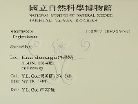 登錄號:F0019432藏品圖，第2張