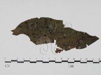 登錄號:F0019432藏品圖，第1張