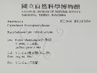 登錄號:F0019434藏品圖，第2張