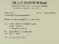 登錄號:F0019436藏品圖，第2張