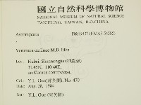 登錄號:F0019437藏品圖，第2張
