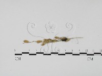 登錄號:F0019438藏品圖，第3張